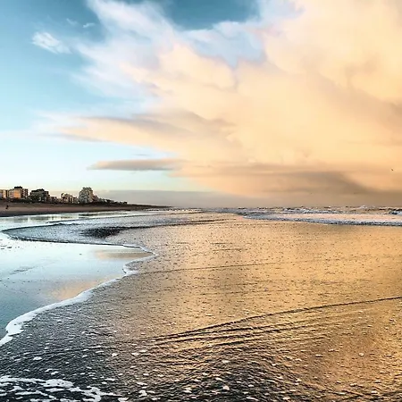 Beach Hotel Noordwijk Hotel Noordwijk